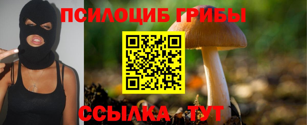 Волоколамск  Псилоцибиновые грибы Cubensis  Вход с VPN 